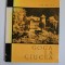 Ion Miclea, Goga la Ciucea, Cluj, 1969