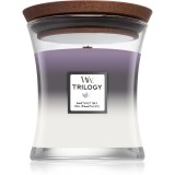 Woodwick Trilogy Amethyst Sky lum&acirc;nare parfumată cu fitil din lemn 275 g