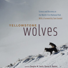 Yellowstone Wolves: Science and Discovery in the World's First National Park