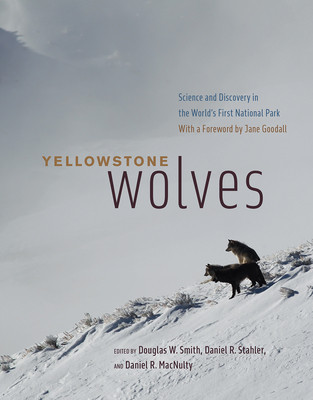 Yellowstone Wolves: Science and Discovery in the World&amp;#039;s First National Park foto