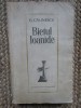 BIETUL IOANIDE-GEORGE CALINESCU