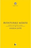 Aventurile marfii. Pentru o noua critica a valorii - Anselm Jappe