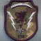 AX 1196 EMBLEMA AVIATIE-PARASUTISTI-ESCADRILA 528 ?-BAZA528?-PENTRU COLECTIONARI