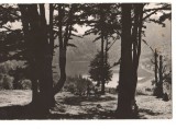 CPIB 17472 CARTE POSTALA - TUSNAD. LACUL SFANTA ANA, Circulata, Fotografie