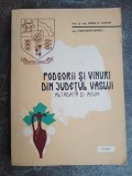 Pogorii si vinuri din Judetul Vaslui Altadata si acum