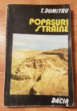 Popasuri straine de T. Dumitru