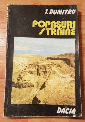 Popasuri straine de T. Dumitru foto