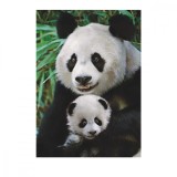 Puzzle 1000 piese Familia Panda Dino Toys, carton multicolor, 23x33 cm, 15 ani+, dezvolta imaginatia