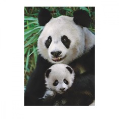 Puzzle - Familia Panda (1000 piese)