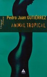 Carte Animal Tropical Pedro Juan Gutierrez Editura Trei 2009 Brosata 420 Pagini