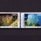 RO 2001 LP 1570 &quot;Corali si anemone &quot; - serie , MNH