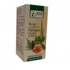 SIROP PATLAGINA CU MIERE&CIMBRU 100ML