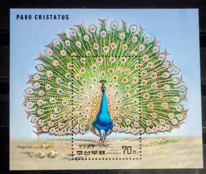 Coreea 1990 păuni ,Păun african, păsări fauna bloc neștampilat Korea 1990