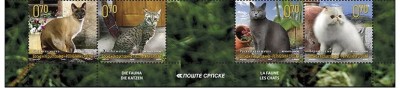 BOSNIA POSTA SRPSKA 2009 FAUNA ANIMALE DOMESTICE foto