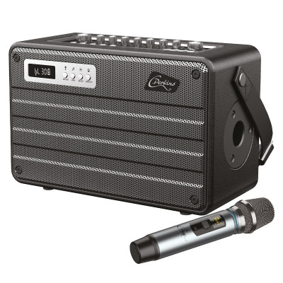 Boxa portabila Parkins, all in one 100W, microfon UHF, bluetooth, USB, MSD, AUX foto