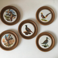 * Set 5 farfurioare decor pasari, ceramica, Koziol, West Germany, 10 cm