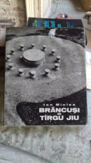 BRANCUSI IN TIRGU JIU - ION MICLEA foto