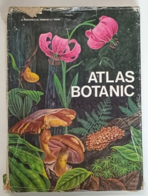 ATLAS BOTANIC de LUCIA POPOVICI , CONSTANTA MORUZI , ION TOMA , 1973 *MINIMA UZURA foto
