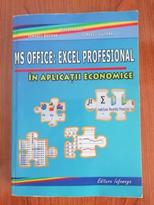 Ionescu Bogdan/Ionescu Iuliana (coordonatori), Microsoft Office: Excel Profesional &amp;icirc;n aplicații economice foto
