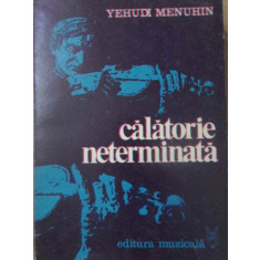 CALATORIE NETERMINATA-YEHUDI MENUHIN