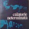 CALATORIE NETERMINATA-YEHUDI MENUHIN-260207