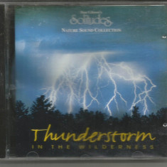 (D)CD - DAN GIBSON'S - SOLITUDES-Thunderstorm in thewilderness