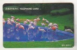 bnk card Cartele telefonice - Coreea de Sud - fauna - pasari