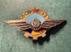 Insigna aviatie militara RPR varianta