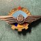 Insigna aviatie militara RPR varianta
