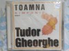 CD-Tudor Gheorghe-Toamna simfonic