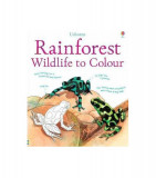 Rainforest Wildlife to Colour - Paperback brosat - Megan Cullis, Susan Meredith - Usborne Publishing