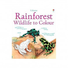 Rainforest Wildlife to Colour - Paperback brosat - Megan Cullis, Susan Meredith - Usborne Publishing