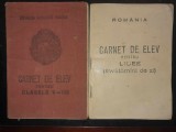 Doua carnete de elev anii 1991-1995, clasele 5-8 si 9-12 Liceul de Arta Galati, Alb, L