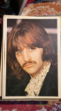 Cumpara ieftin THE BEATLES,RINGO STARR FOTO VECHE(anii&#039;60),FORMAT MARE PE SUPORT CARTON/29x21cm