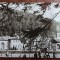 QW27 V - Carte postala - tematica turism - vedere - Romania - Vatra Dornei 16