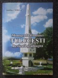 MONOGRAFIA COMUNEI TULUCESTI - Amelian Chirila