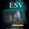 ESV Pitt Minion Reference Edition Brown Calf Split Leather Es444: X