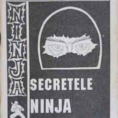 SECRETELE NINJA-VASILE NOLAS