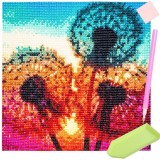 Cumpara ieftin Mozaic Diamant 30x30 cm Papadii Andyluc, Broderie Pictura cu Strass, Kit Complet DIY, Decoratiune Casa, Adulti si Copii
