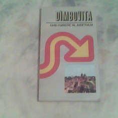 Dambovita-ghid turistic al Judetului-Gabriel Mihaescu,C.Manolescu,Ion Zavoianu