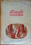 Alunele veveritei Alexandru Oti - Ilustratii P. Nazarie ( Raritate)
