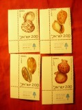 Serie Israel 1977 - Scoici , 4 valori