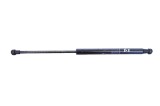 Amortizor haion st&acirc;nga BMW 4 Coupe F32, F82 2013 OEM: 7295205 25589733
