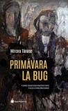 Primavara la Bug - Mircea Tanase, Hyperliteratura
