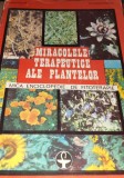 MIRACOLELE TERAPEUTICE ALE PLANTELOR Mica enciclopedie de fitoterapie Ovidiu Bojor
