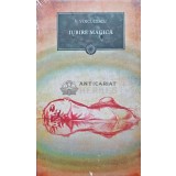 Iubire magica - Vasile Voiculescu (AH42)