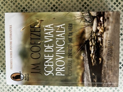 J. M. Coetzee - Scene de viata provinciala foto