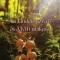 An Undergrowth of Myth-making