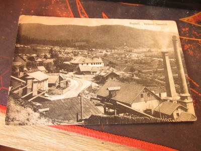 busteni vederea generala f1 foto