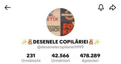 Cont tiktok 40k foto